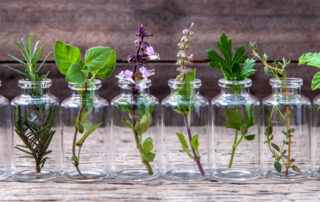 anti-inflammatory herbs