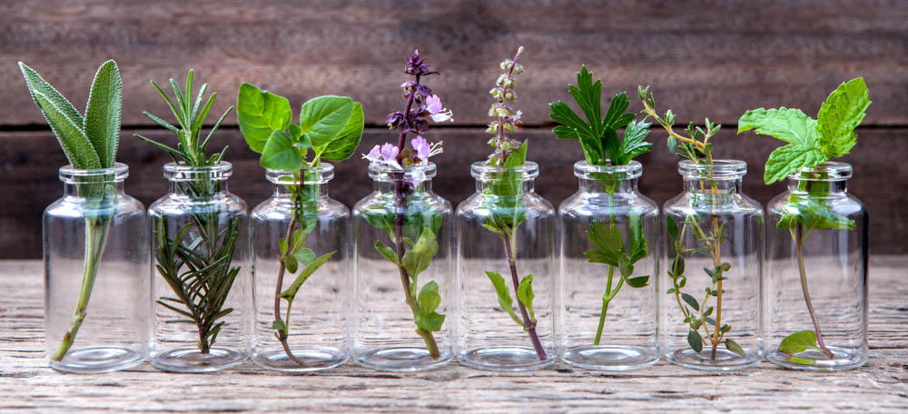 anti-inflammatory herbs 